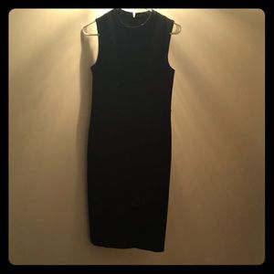 Ann Taylor Work Dress